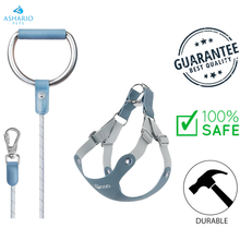 Voocoo - Dog Harness and Leash Set