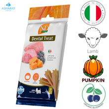 Farmina - Pumpkin Lamb & Blueberry Adult Mini Dental Dog Treats