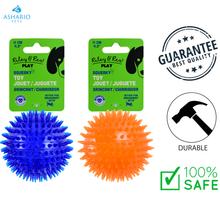 Riley & Rex - Squeaky Spiky Ball Dog Toy