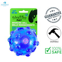 Riley & Rex - Light Up Bouncing Ball Dog Toy