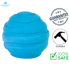 BuD'z - Latex Squeaker Ball Dog Toy - Small
