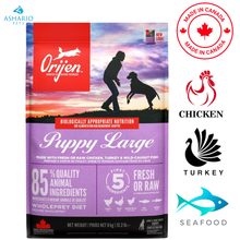Orijen - Puppy Large Breed Dry Dog Food