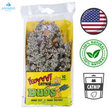 YEOWWW! - Catnip Buds
