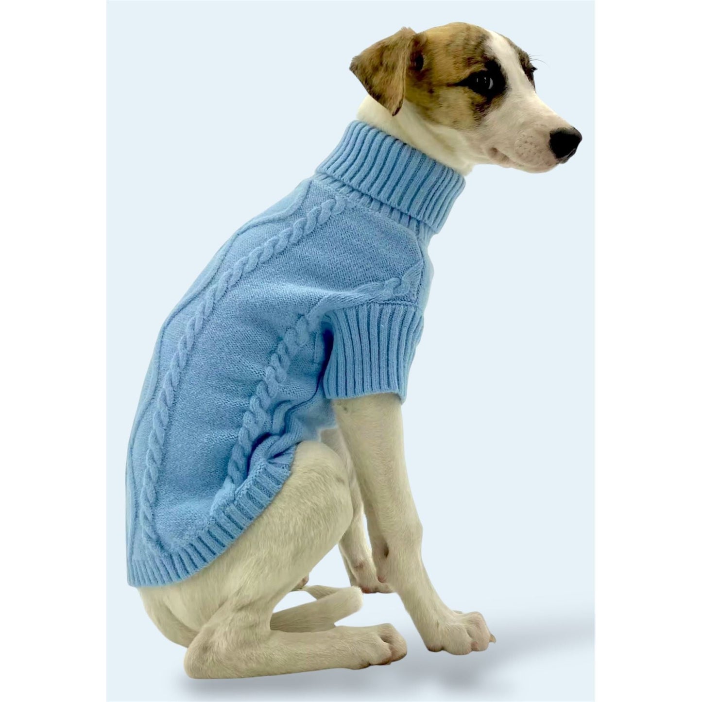 Pull bleu
