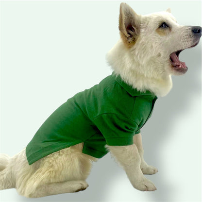 Chemise verte en coton