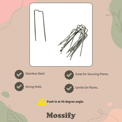 Épingles florales - Épingles de verdure - Épingles pour tuteur en mousse