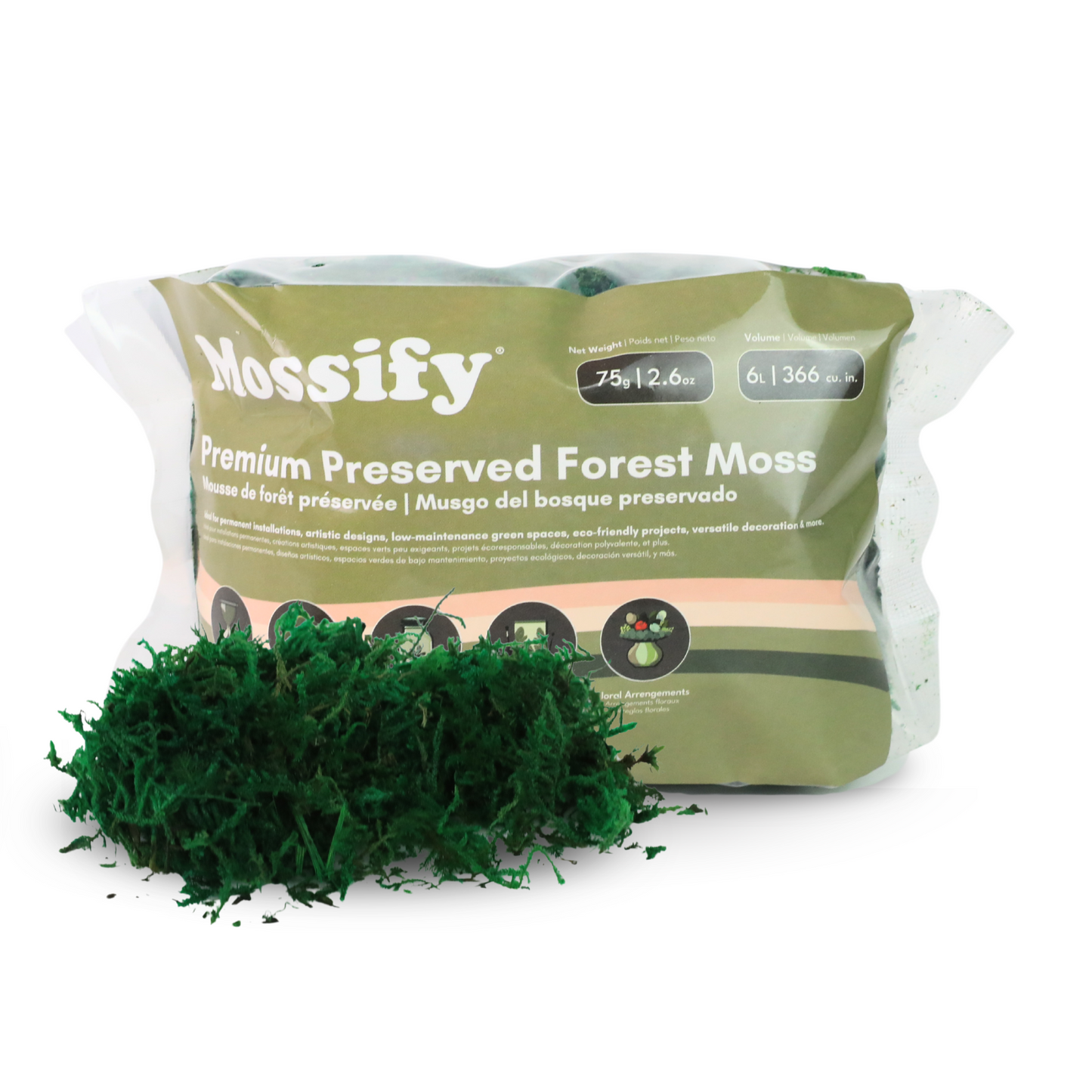 Mousse de forêt stabilisée de première qualité