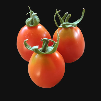 Tomate Principe Borghese