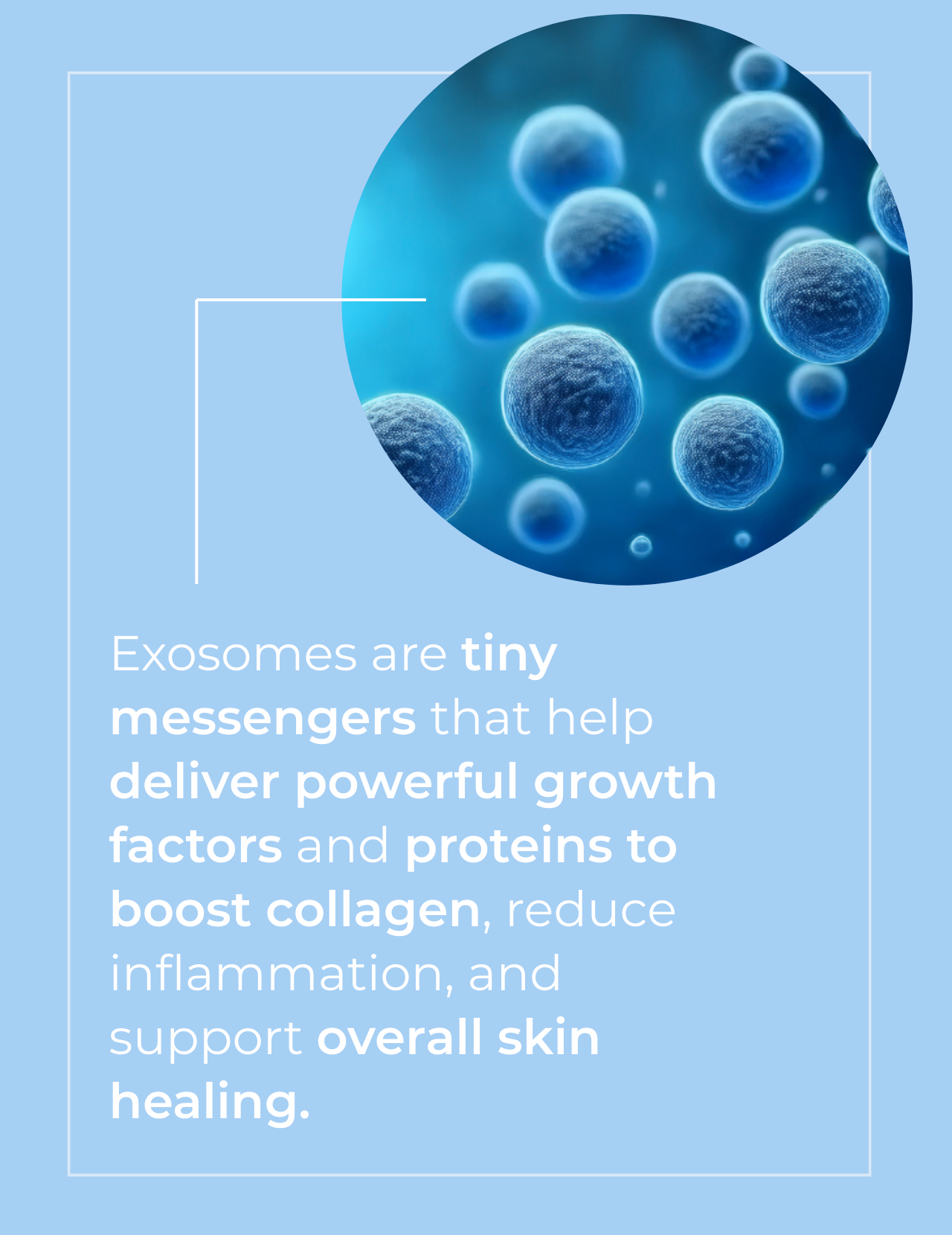 Sérum réparateur pour la peau aux exosomes