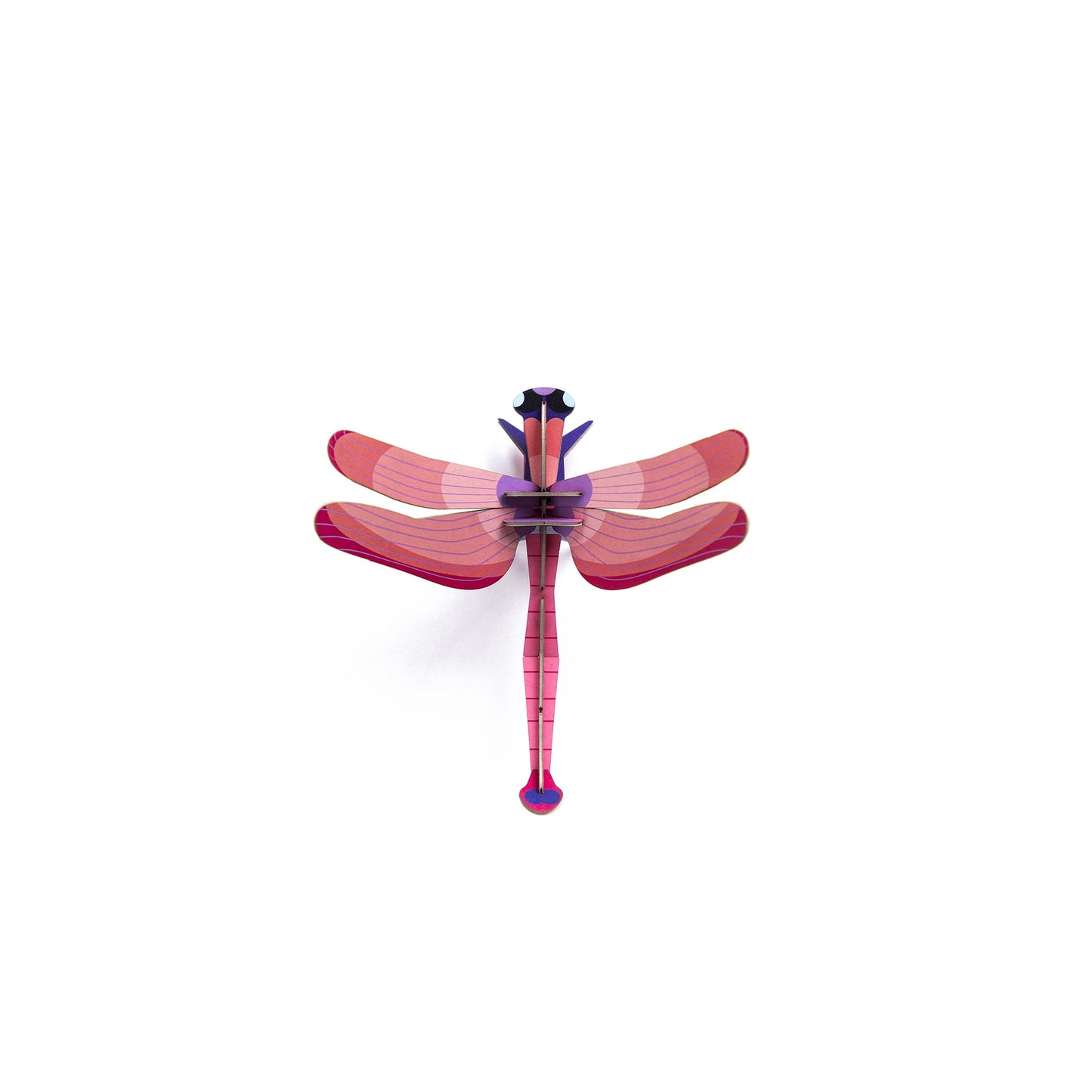 Libellule rubis