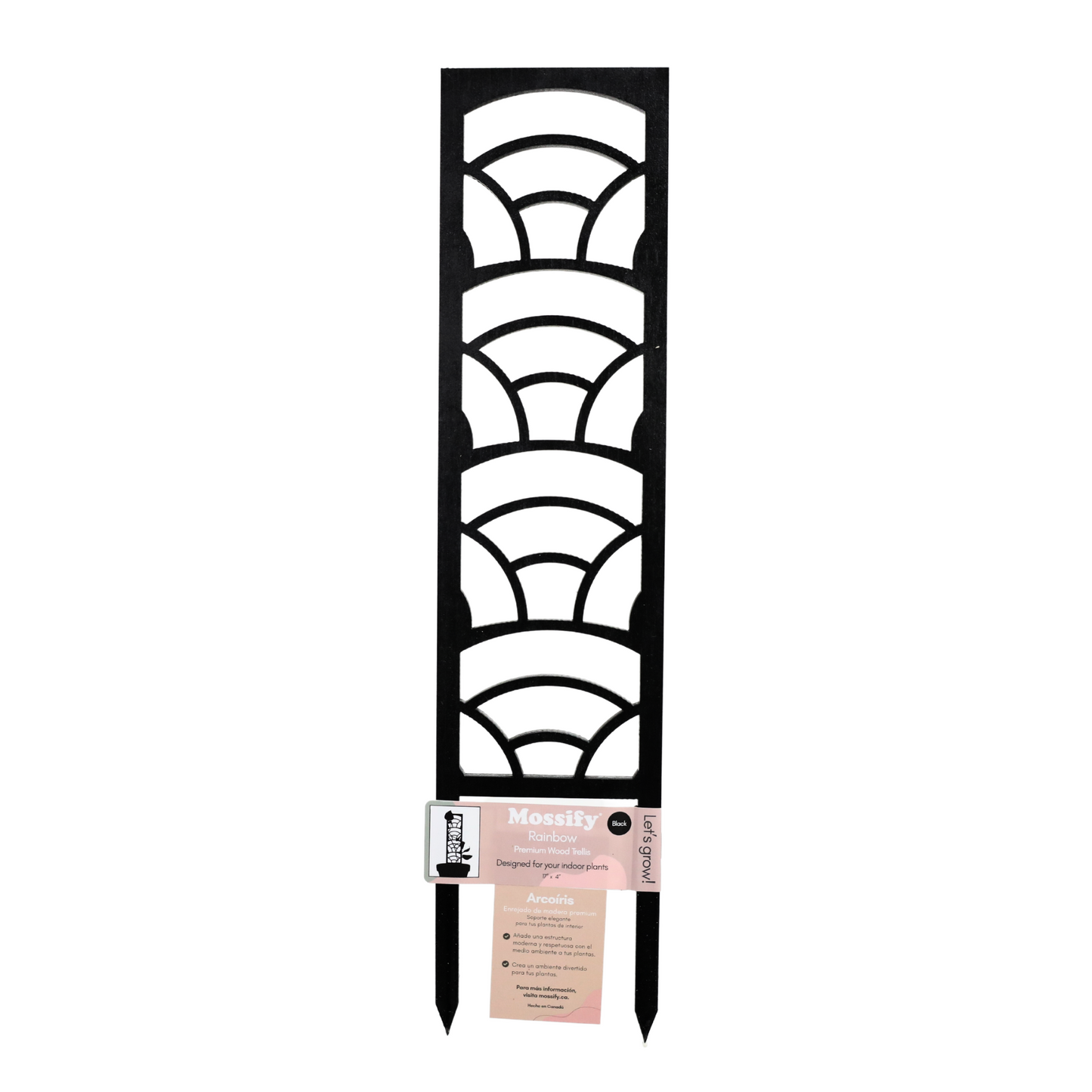 Trellis en bois arc-en-ciel