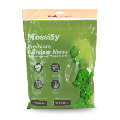 Sachet de Mousse de Rennes Premium