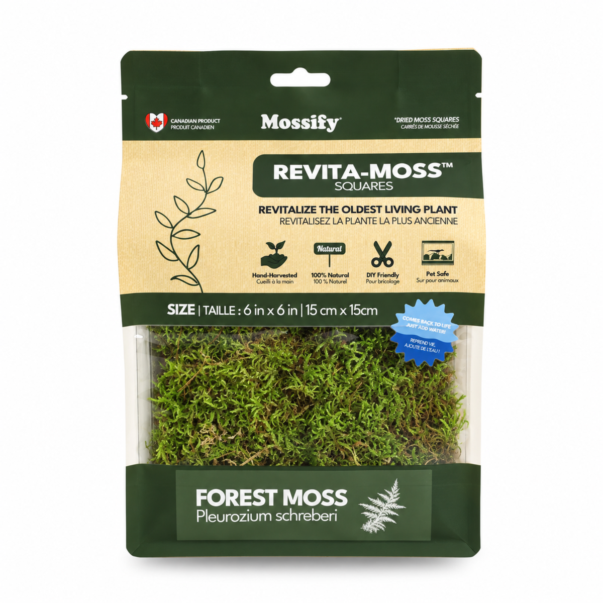Natural Canadian Forest Moss - Revita-Moss™ (Pleurozium schreberi)