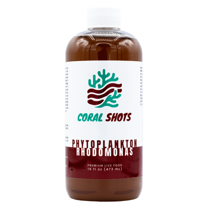 Rhodomonas Phytoplancton vivant - Boutures de corail