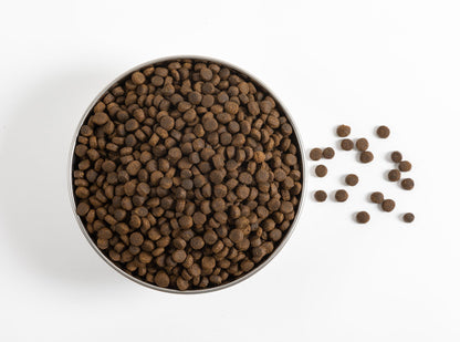 Nourriture pour chiens au poisson de mer frais - Sac de 6,8 kg