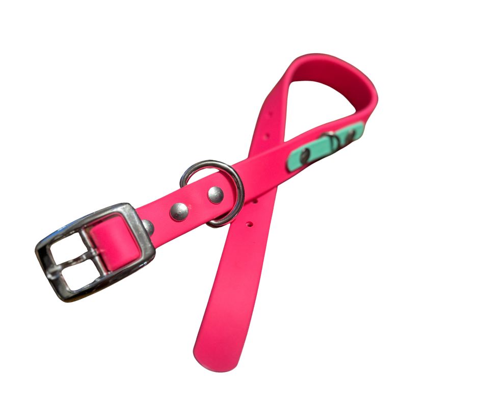 Special Offer on 1" Standard BioThane Dog Collar - Handmade in Quebec