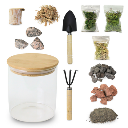 Kit de terrarium Mossify