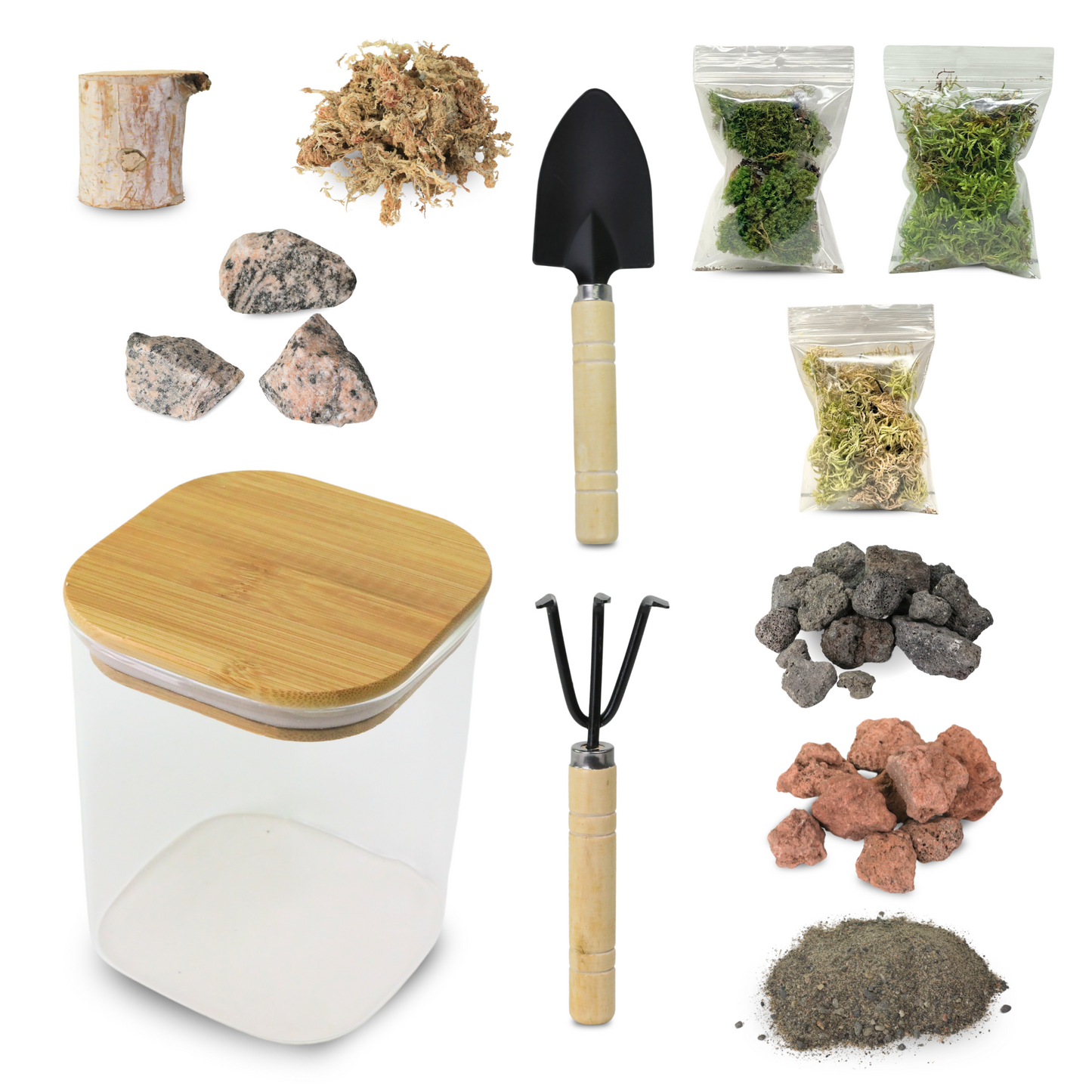 Kit de terrarium Mossify