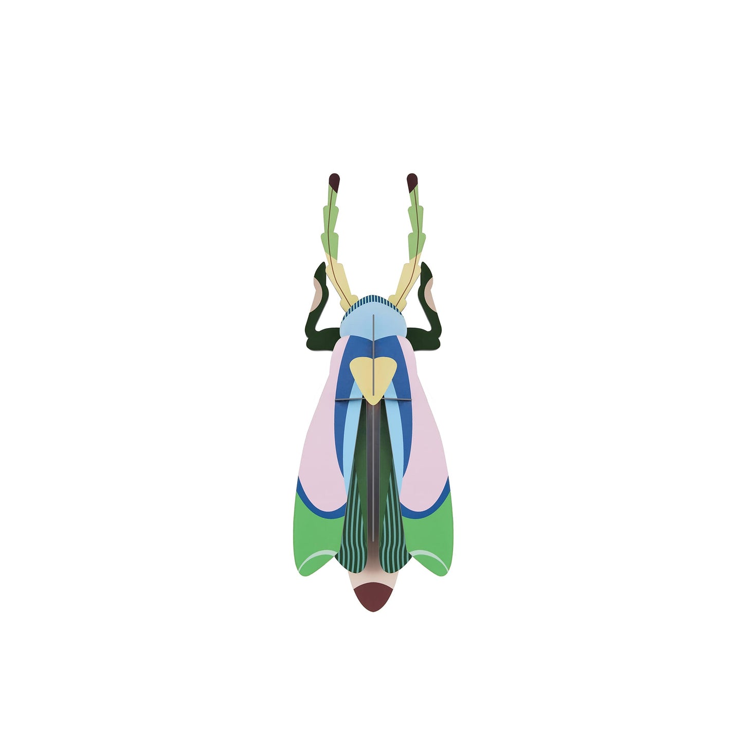 Scarabée Sakura