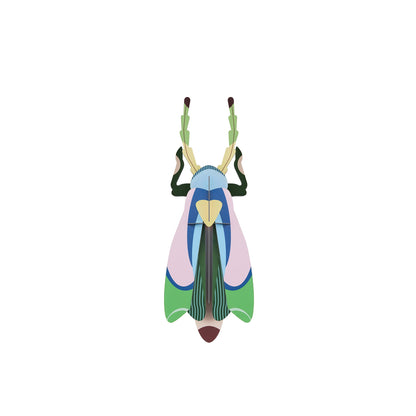 Scarabée Sakura
