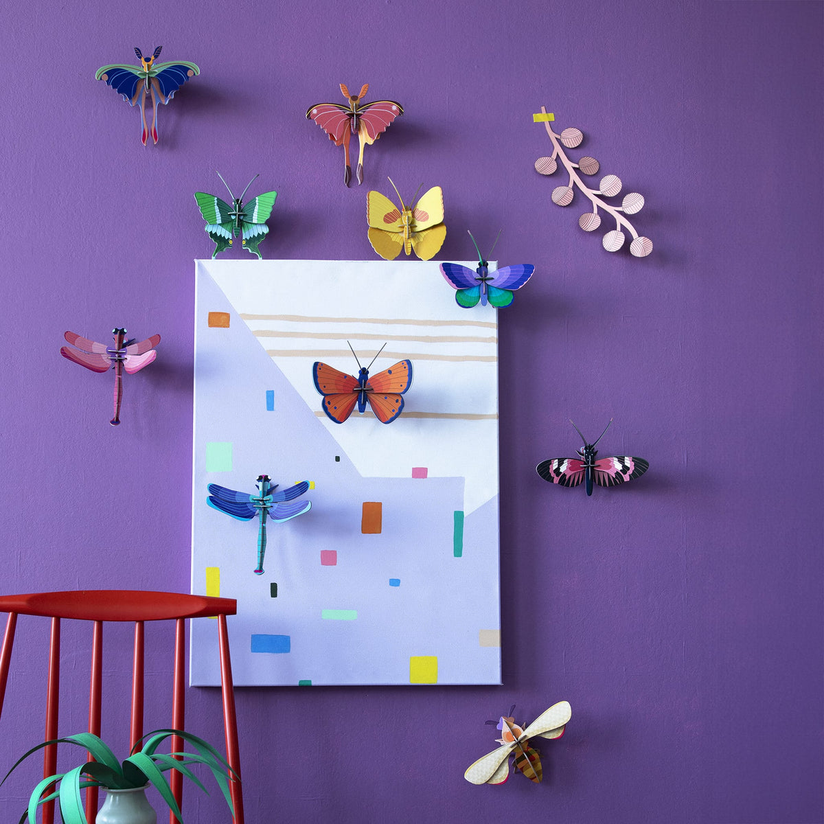 Libellule saphir