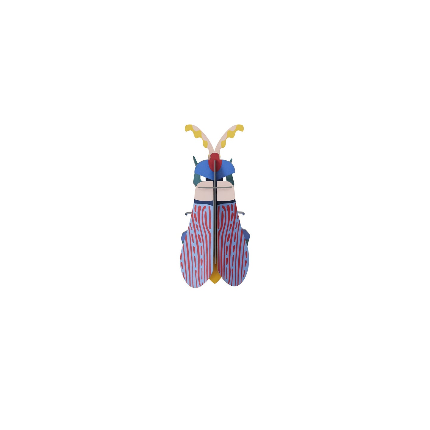 Coléoptère à ailes rayées