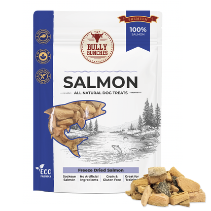 Saumon lyophilisé 100g / 3,5oz
