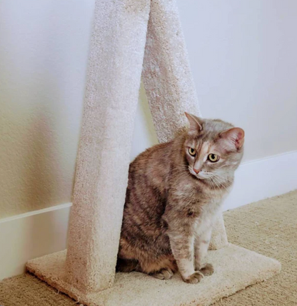 Model 12 - 23" A-Frame Scratch Post.