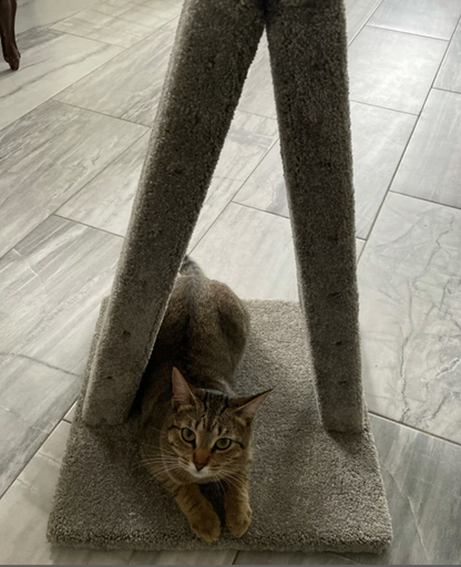 Model 12 - 23" A-Frame Scratch Post.