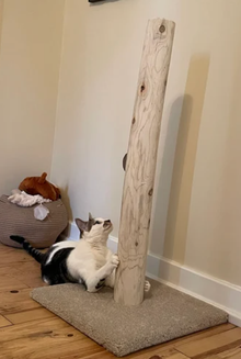 Modèle 28- 36 : Poteau à griffer pour chat en cèdre de 36 po