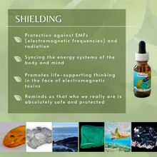 Shielding | Combination Essence