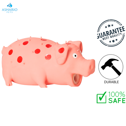 BuD'z - Latex Spotted Pig Squeaker Dog Toy