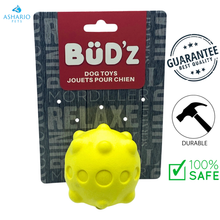 BuD'z - Rubber Foam Ball