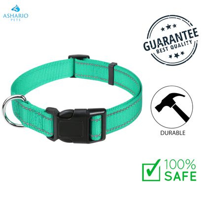 Ashario Pets - Reflective Adjustable Nylon Dog Collar - Extra Small