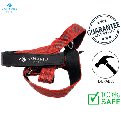 Ashario Pets - "BreezyVest" Summer Lightweight Reflective Harness - L