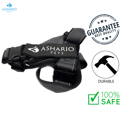 Ashario Pets - "BreezyVest" Summer Lightweight Reflective Harness - M