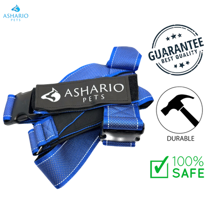 Ashario Pets - "BreezyVest" Summer Lightweight Reflective Harness - XL