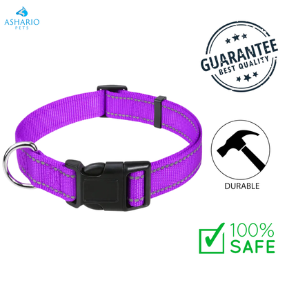 Ashario Pets - Reflective Adjustable Nylon Dog Collar - Large