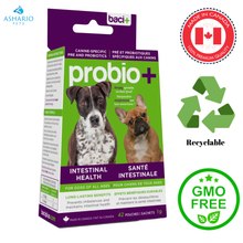 Baci+ - Probio+ Intestinal Health For Dogs & Cats