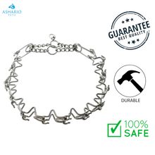 Ashario Pets - Outdoor Training Chain Dog Collar
