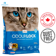OdourLock - Ultra Premium Unscented Clumping Cat Litter