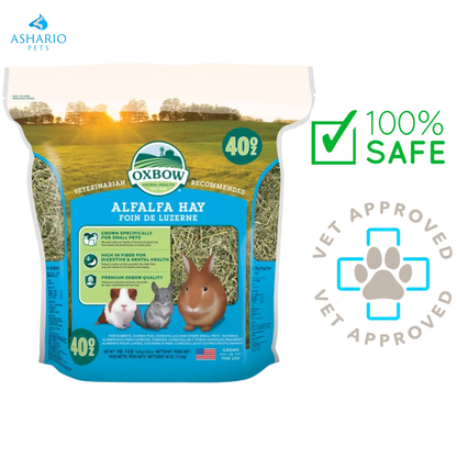 Oxbow Animal Health - Alfalfa Hay