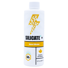 Silicate¹⁴+