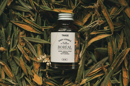 Sirop d'érable boréal - Thé du Labrador