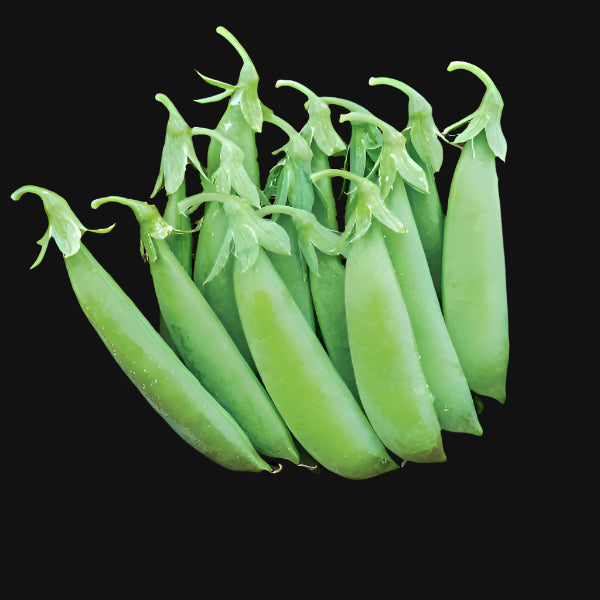Mélange de pois mange-tout