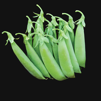 Mélange de pois mange-tout