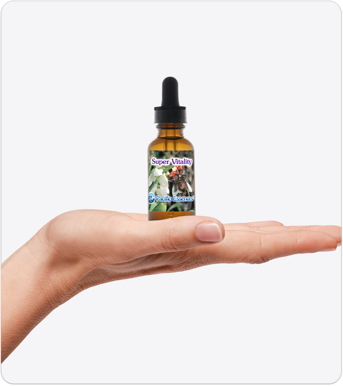 Super Vitality | Combination Essence