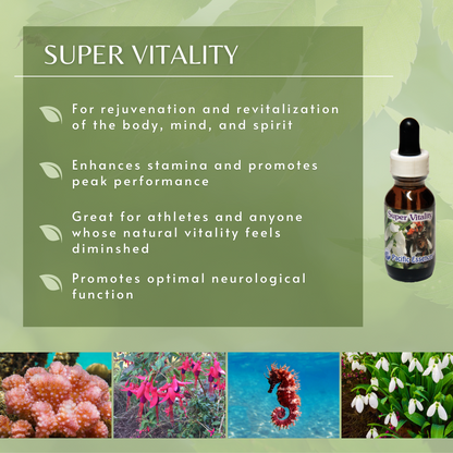 Super Vitality | Combination Essence