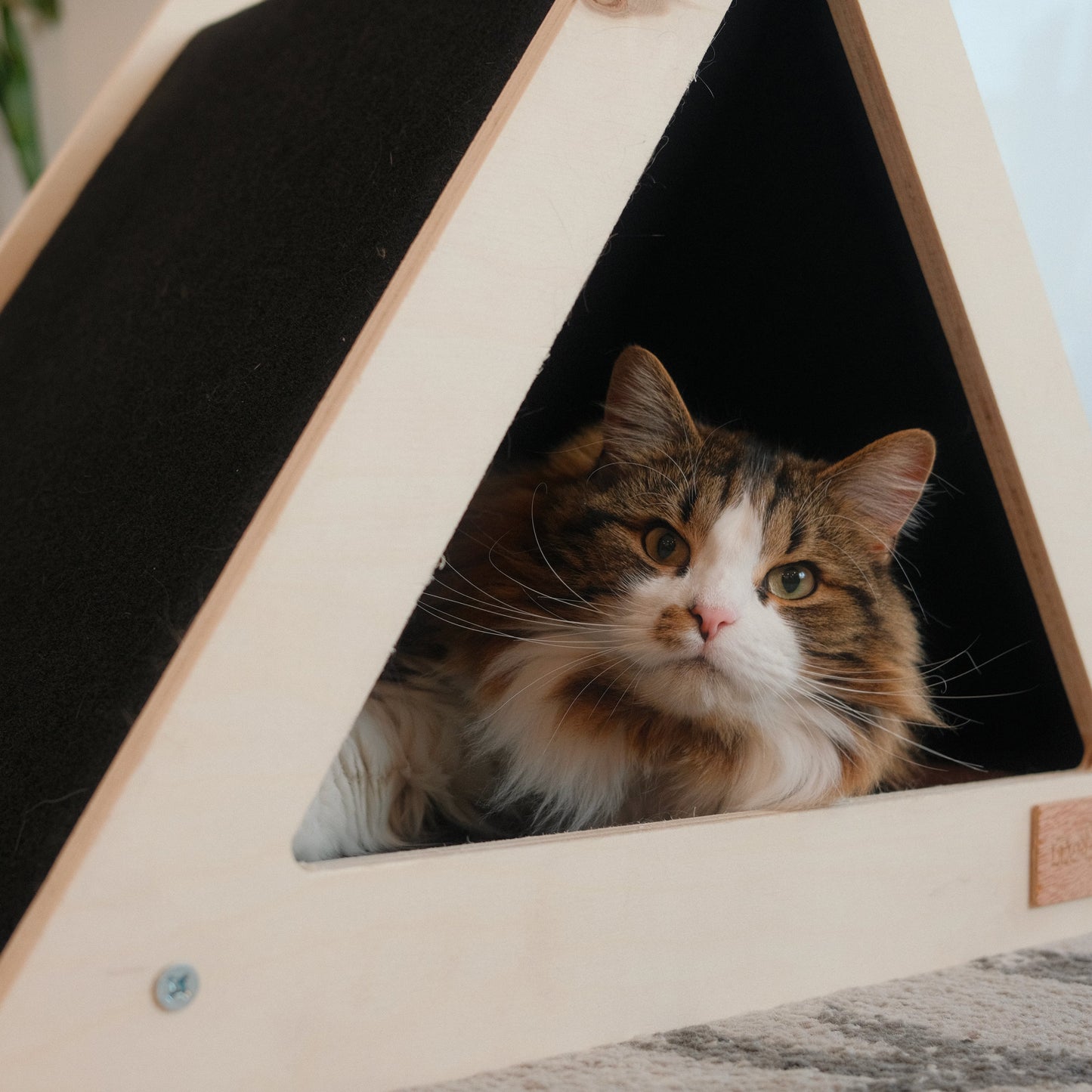 Noba Origin Tipi Griffoir pour Chat