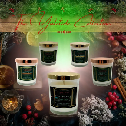 FROSTED CRANBERRY &amp; SPICE | Festive cranberry Christmas luxury coconut apricot wax candle